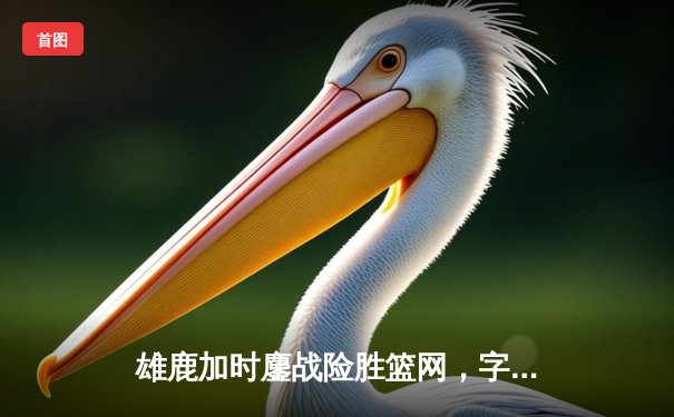 雄鹿加时鏖战险胜篮网，字母哥36+12+5主宰关键时刻